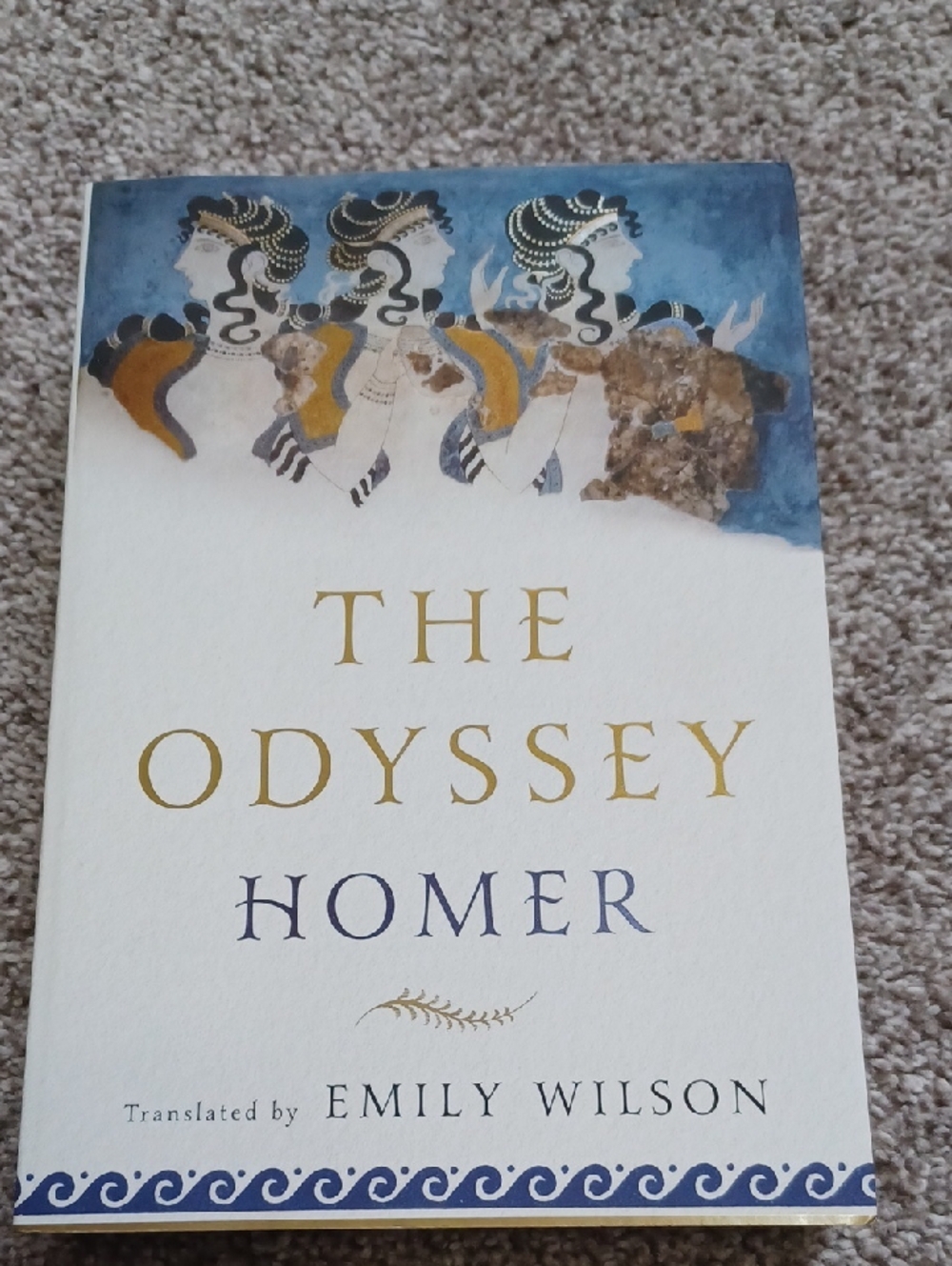 The Odyssey by Homer - Emily Wilson Translation